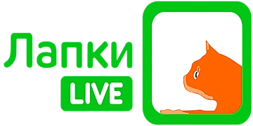 Канал Лапки LIVE